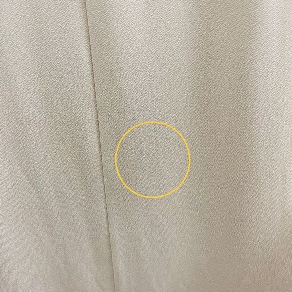 NWT Alice & Olivia | Air Nude Maxi Skirt - Picture 9 of 15